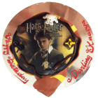 Harry Potter Fondant 1